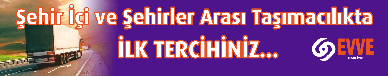 Ankara İzmir asansörlü nakliye